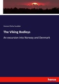 Cover: The Viking Bodleys - Hansebooks