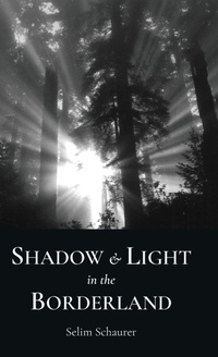 Abbildung von: Shadow and Light in the Borderland - Anax Publishing