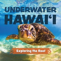 Enlarge image Cover: Underwater Hawai'i: Exploring the Reef - Ulysses Press