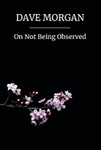Enlarge image Cover: On Not Being Observed - Flapjack Press