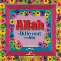 Cover: Allah is Different than Me - Green Fig