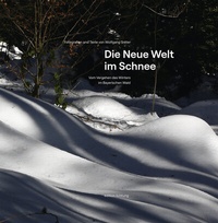 Abbildung von: Die Neue Welt im Schnee - Lichtung