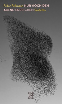 Enlarge image Cover: Nur noch den Abend erreichen - Jung und Jung