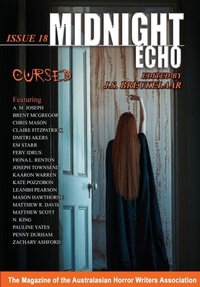 Enlarge image Cover: Midnight Echo Issue 18 - Alan Baxter