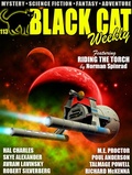 Cover: Black Cat Weekly #113 - Wildside Press