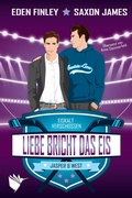 Cover: Liebe bricht das Eis - Second Chances Verlag