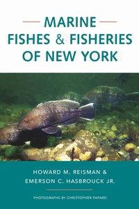 Abbildung von: Marine Fishes and Fisheries of New York - Comstock Publishing Associates