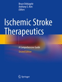 Bild: Ischemic Stroke Therapeutics - Springer