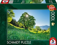 Abbildung von: Berg-Ahorn im Sonnenlicht, St. Gallen, Schweiz - Schmidt Spiele GmbH