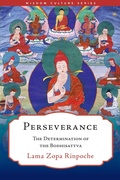 Cover: Perseverance - Simon + Schuster LLC