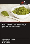 Cover: Bacchetta - Edizioni Sapienza