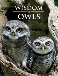 Enlarge image Cover: Wisdom of Owls - Firefly Books Ltd