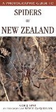 Cover: A Photographic Guide to Spiders of New Zealand - White Cloud Books