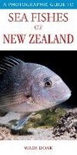 Cover: A Photographic Guide to Seafish of New Zealand - White Cloud Books