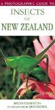 Cover: A Photographic Guide to Insects of New Zealand - White Cloud Books