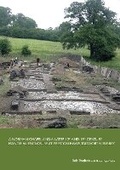 Cover: A Norman chapel and a later 12th and 13th century manorial enclosure at Preston Hawe, Tadworth, Surrey - SpoilHeap Publications