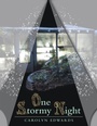 Cover: One Stormy Night - Archway Publishing
