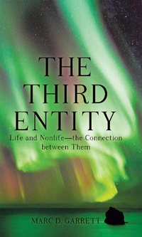 Enlarge image Cover: The Third Entity - LifeRich Publishing