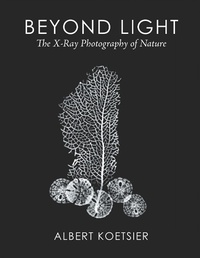 Abbildung von: Beyond Light - Xlibris Us