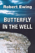 Cover: Butterfly in the Well - AuthorHouse UK