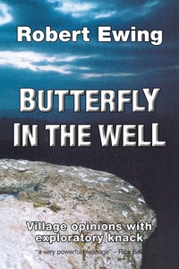 Enlarge image Cover: Butterfly in the Well - AuthorHouse UK