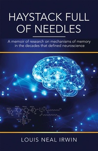 Enlarge image Cover: Haystack Full of Needles - Xlibris Us