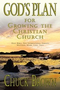 Cover: God's Plan - WestBow Press