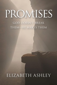 Enlarge image Cover: Promises - WestBow Press