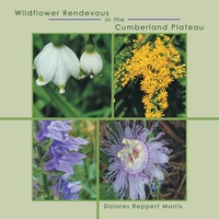 Abbildung von: Wildflower Rendevous in the Cumberland Plateau - WestBow Press
