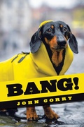 Cover: Bang! - iUniverse