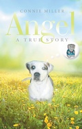 Cover: Angel - iUniverse