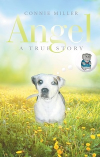 Enlarge image Cover: Angel - iUniverse