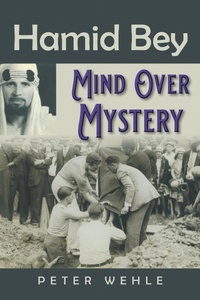 Enlarge image Cover: Hamid Bey - AUTHORHOUSE