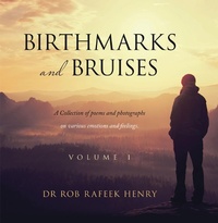 Abbildung von: Birthmarks and Bruises - Archway Publishing