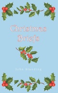 Cover: Christmas Briefs - Archway Publishing