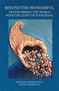 Abbildung von: Beyond the Wonderful - Xlibris Us