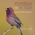 Cover: Feathers and Scales - Xlibris Us