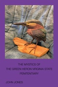 Cover: The Mystics of the Green Heron - Xlibris Us