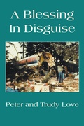 Cover: A Blessing in Disguise - Xlibris Us