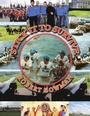 Cover: Stick It to Survive - AUTHORHOUSE