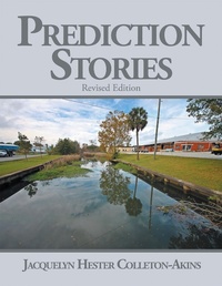 Enlarge image Cover: Prediction Stories - Xlibris Us