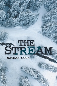 Enlarge image Cover: The Stream - Xlibris Us