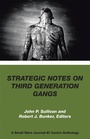 Cover: Strategic Notes on Third Generation Gangs - Xlibris Us