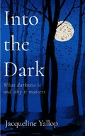 Cover: Into the Dark - Icon Books