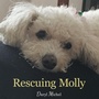 Cover: Rescuing Molly - WestBow Press