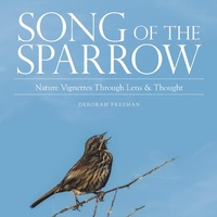 Enlarge image Cover: Song of the Sparrow - Balboa Press