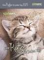 Bild: Eine Katze f&uuml;r jeden Tag 2025 - Tagesabrei&szlig;kalender zum Aufstellen oder Aufh&auml;ngen - S&uuml;dwest