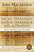 Cover: Micah, Zephaniah, Nahum, Habakkuk, Joel, and Obadiah - HarperChristian Resources