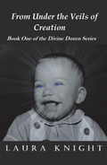 Cover: From Under the Veils of Creation - Balboa Press