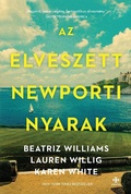 Cover: Az elveszett newporti nyarak - Publishdrive
